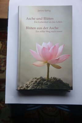 Bl?ten aus der Asche IMG_7603